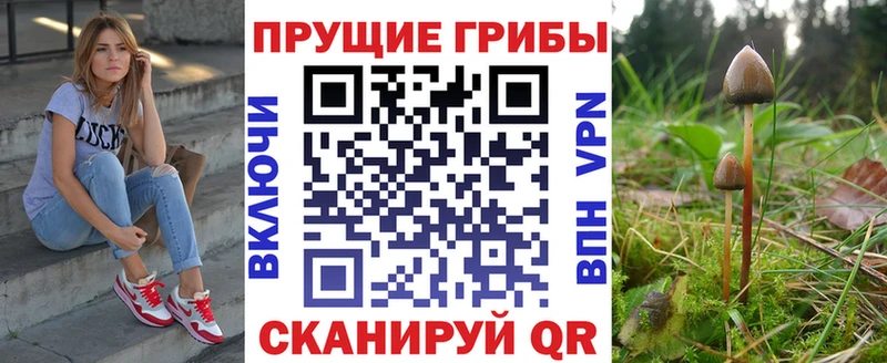 Галлюциногенные грибы Psilocybine cubensis  Купить  Переславль-Залесский 